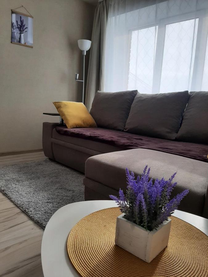 Ir Apartment Rēzekne Eksteriør bilde